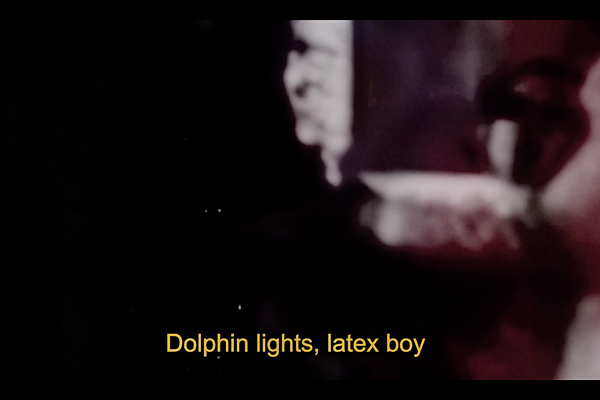 Tekst 'Dolphin lights, latex boy' in gele letters op een donkere, wazige achtergrond.